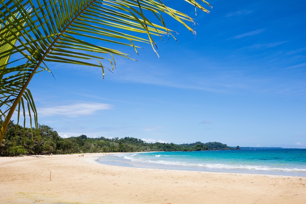 red frog beach island resort