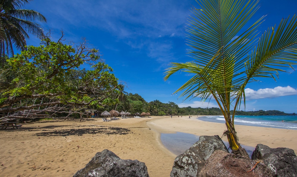 red frog beach island resort