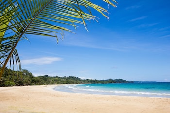 red frog beach island resort