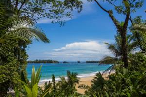 red frog beach island resort