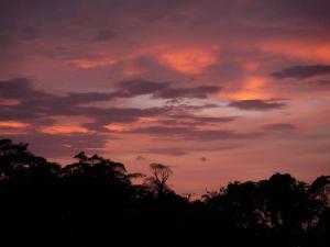 red frog beach island resort