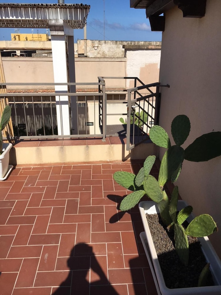 trapani