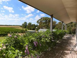 lancemore milawa