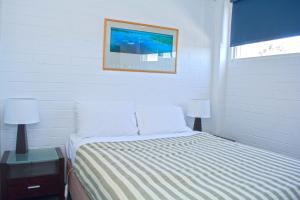 alexander motor inn and apartments