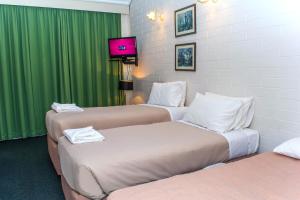 alexander motor inn and apartments