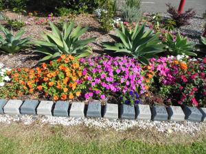 asure camelot arms motor lodge