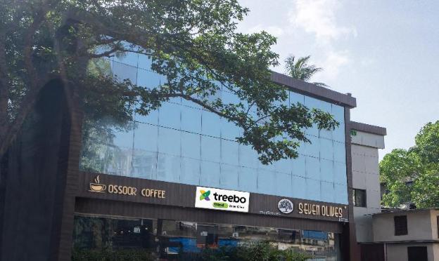 treebo seven olives