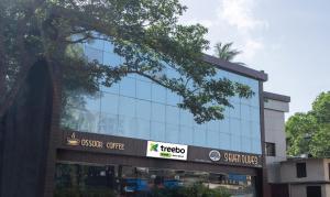 treebo seven olives