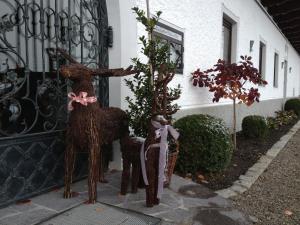 landgasthof goldener pflug