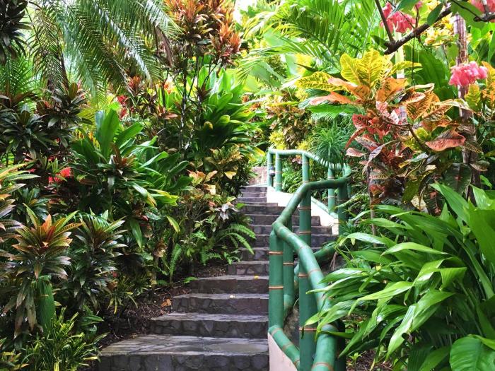 si como no resort spa and wildlife refuge