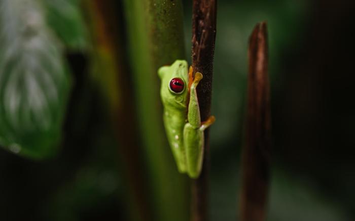 si como no resort spa and wildlife refuge