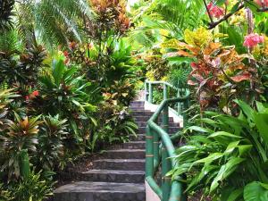 si como no resort spa and wildlife refuge