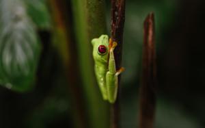 si como no resort spa and wildlife refuge