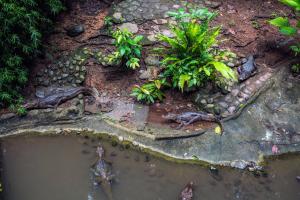 si como no resort spa and wildlife refuge