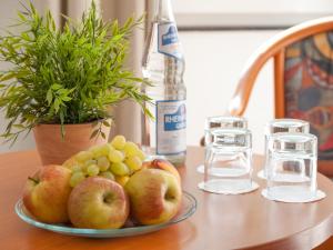 trip inn hotel schumann