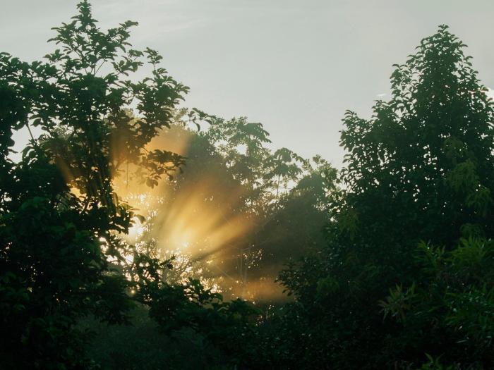 finca luna nueva lodge