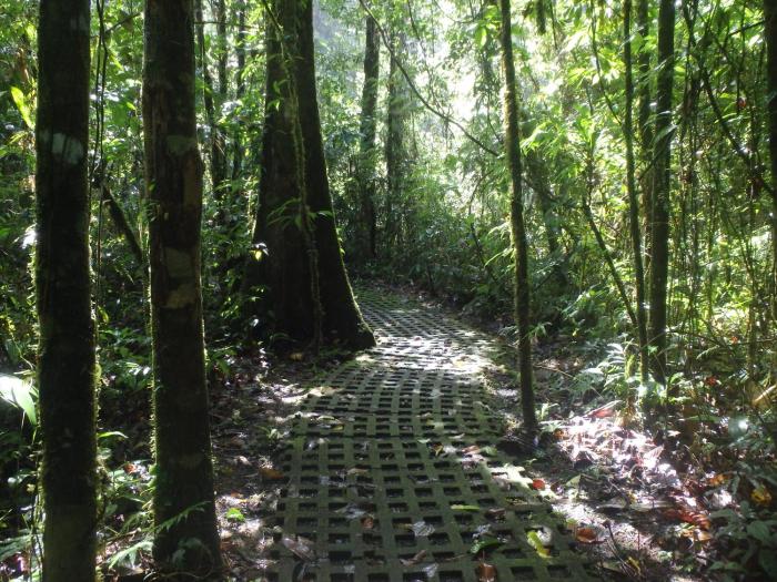 finca luna nueva lodge