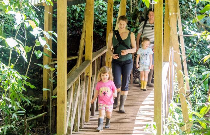 finca luna nueva lodge