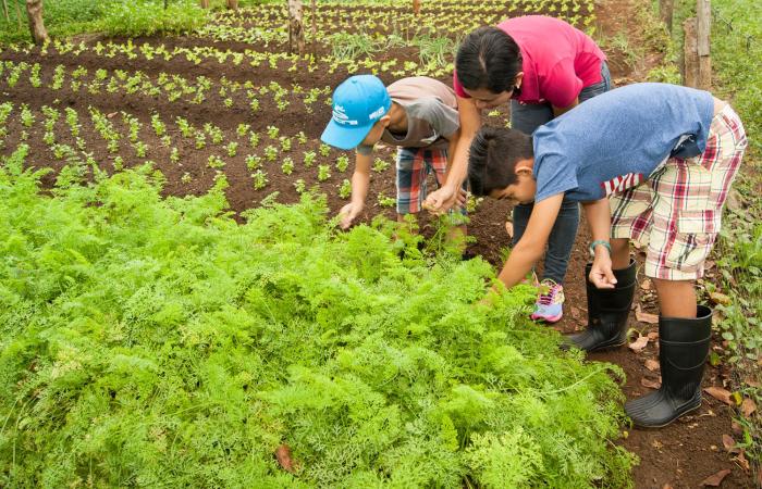 finca luna nueva lodge