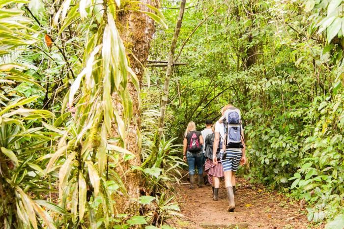 finca luna nueva lodge