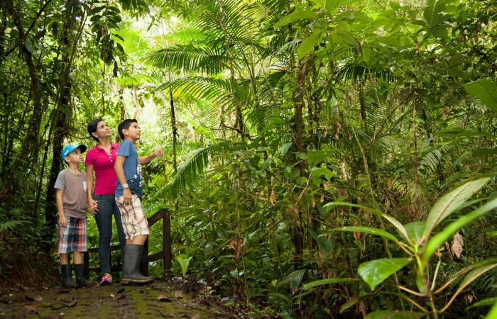 finca luna nueva lodge