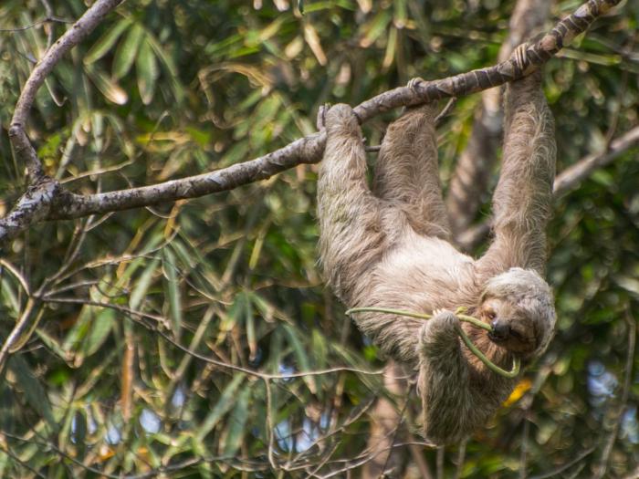 finca luna nueva lodge