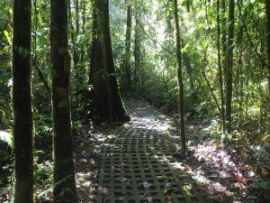 finca luna nueva lodge