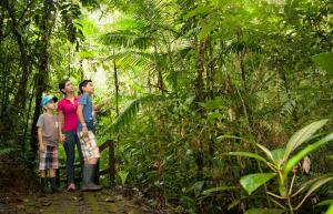 finca luna nueva lodge