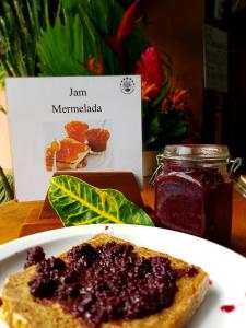 finca luna nueva lodge