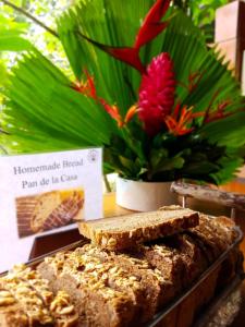 finca luna nueva lodge