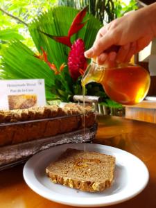 finca luna nueva lodge