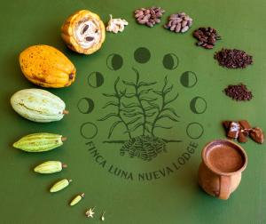 finca luna nueva lodge