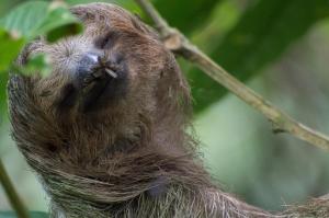 finca luna nueva lodge