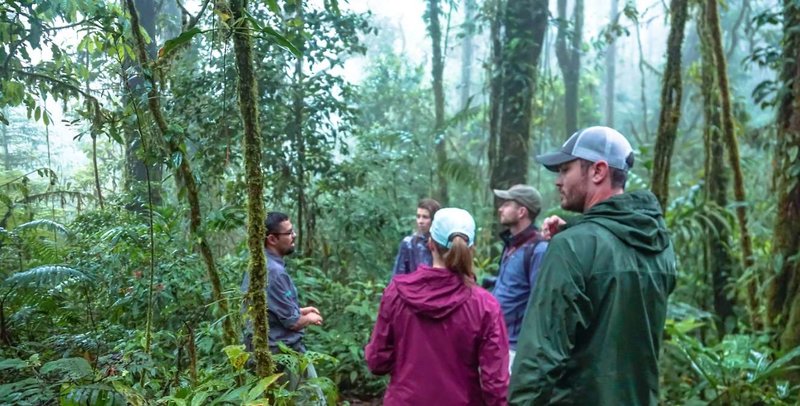 villa blanca cloud forest hotel retreat