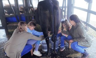 villa blanca cloud forest hotel retreat