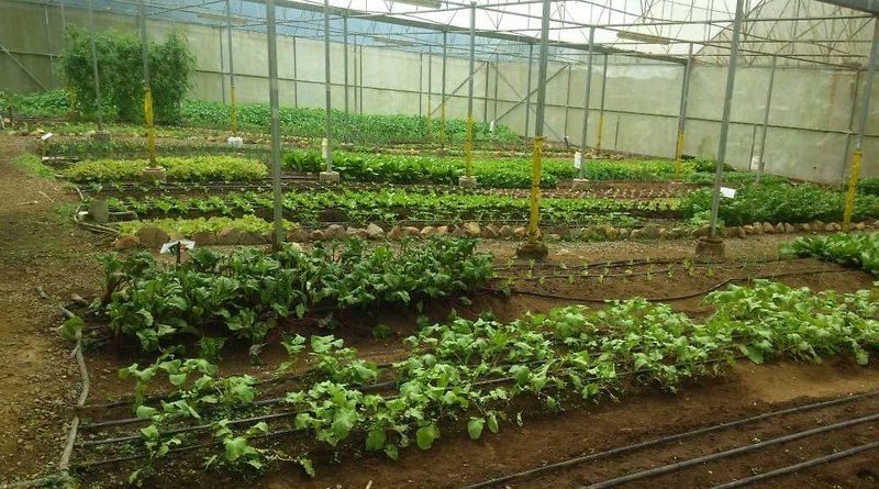 villa blanca cloud forest hotel retreat