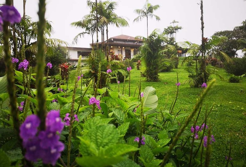 villa blanca cloud forest hotel retreat