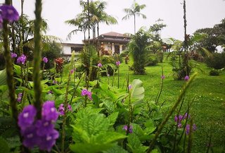 villa blanca cloud forest hotel retreat
