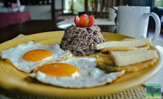 villa blanca cloud forest hotel retreat