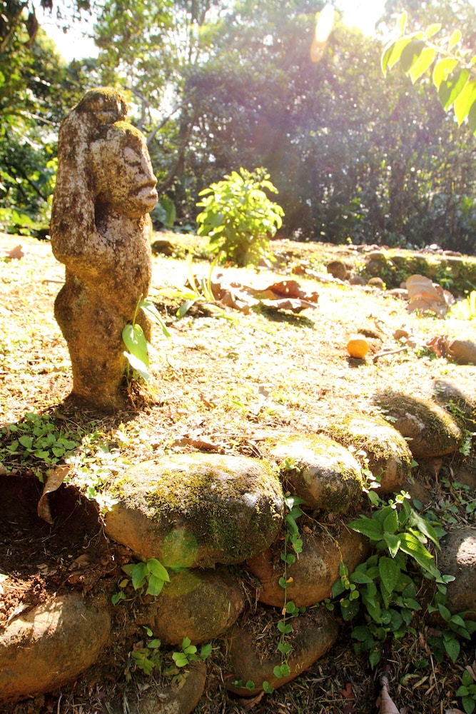 sarapiquis rainforest lodge