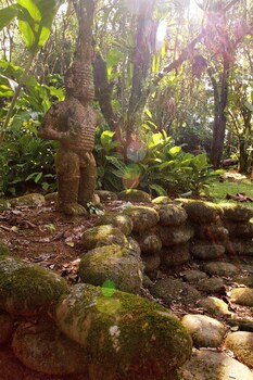 sarapiquis rainforest lodge