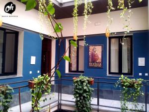 oasis backpackers hostel sevilla and coworking