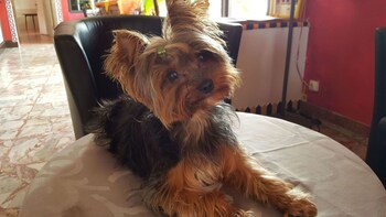 Hôtel L'hacienda,Chateauneuf-Les-Martigues>>Bouches-Du-Rhône,3 star