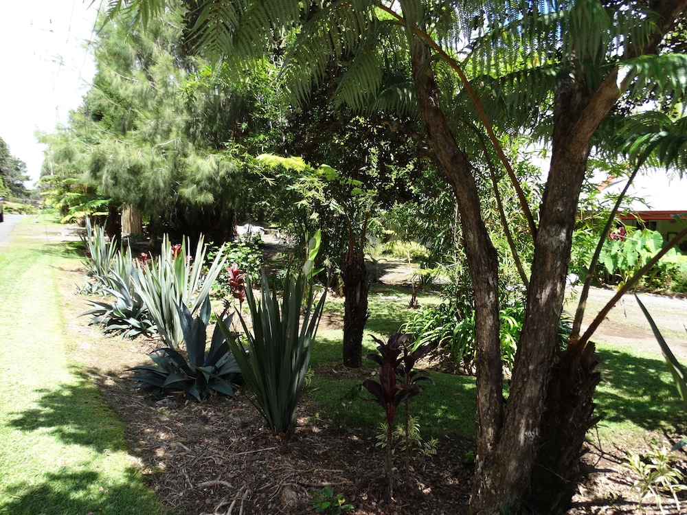 lokahi lodge