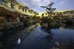 doubletree by hilton napa valley american canyon