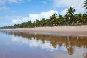 grand palladium imbassai resort and spa all inclusive