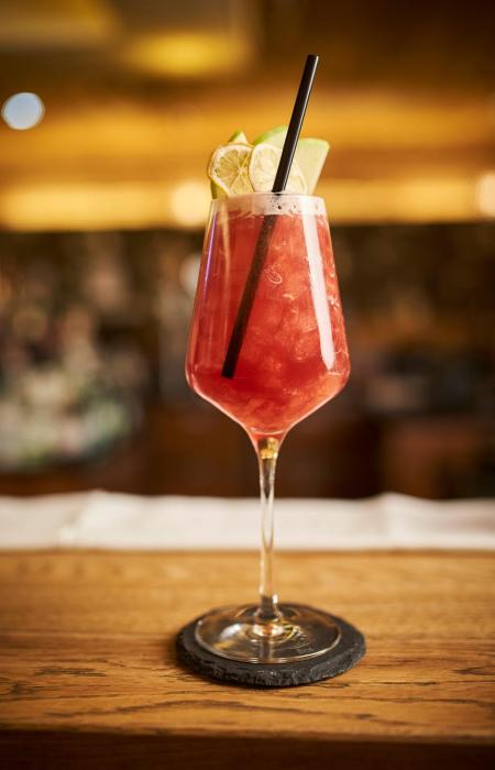 stammhaus im hotel alpine palace