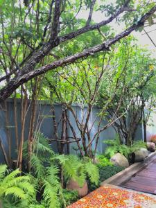 at pingnakorn hotel chiang mai