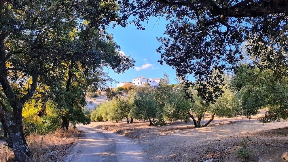 priego de cordoba