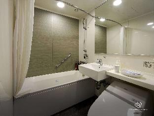 daiwa roynet hotel sapporo susukino